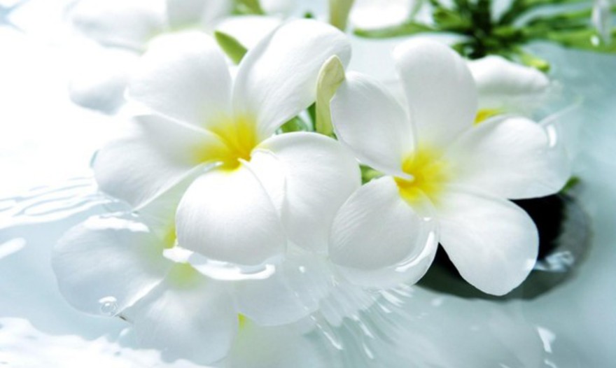 Маффины с ананасами и грецкими орехами