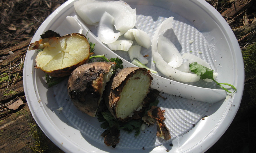 Шашлык на природе