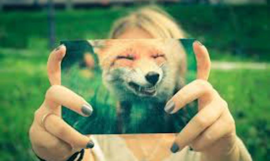 Крендельки с мясом