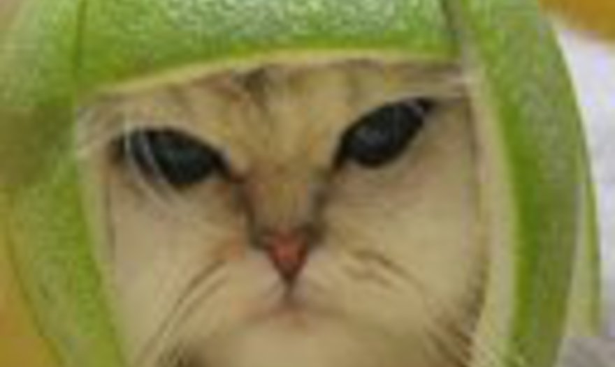 Сало в луковой шелухе