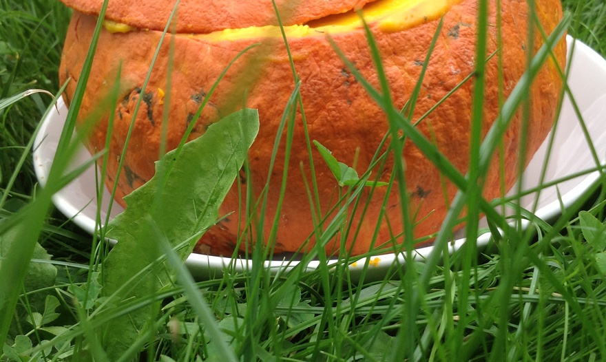 Суп в тыкве