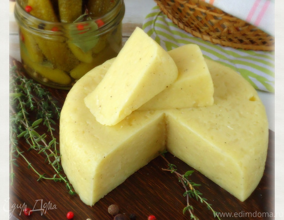 Сыр из творога и молока без яиц: рецепт - Лайфхакер