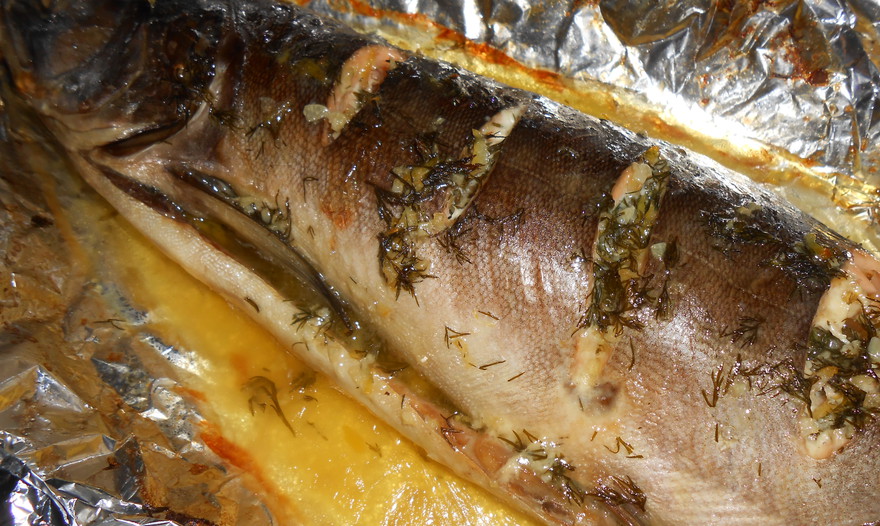 Фотография блюда пользователя