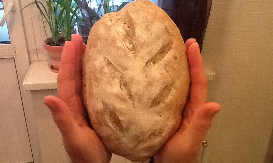 Фотография блюда пользователя