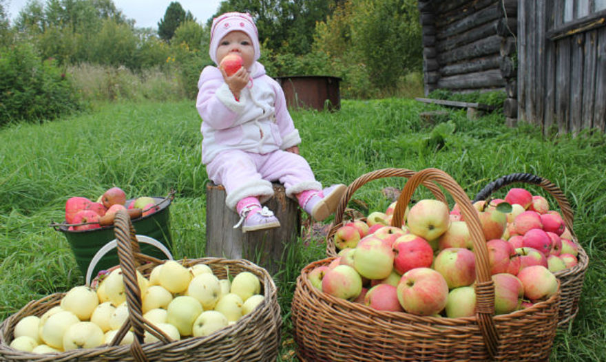 Фото "Едим дома"