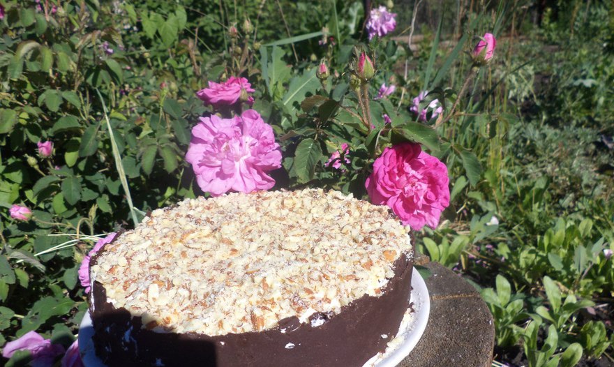 Фотография блюда пользователя