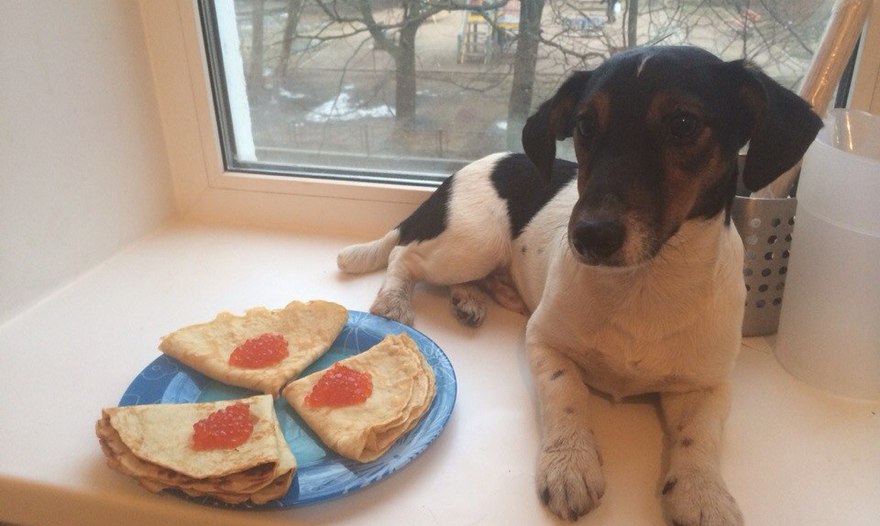 Фотография блюда пользователя