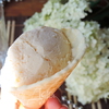 Мороженое "Крем-брюле" (без яиц)