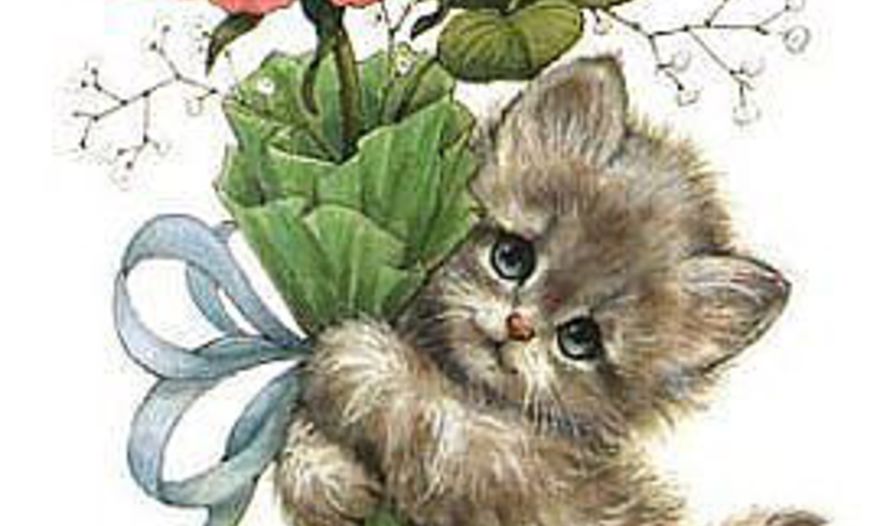 Куриные потрошка, тушеные в горшочке