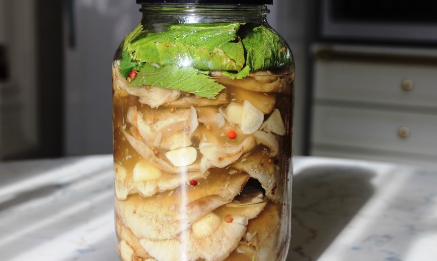 Фотография блюда пользователя