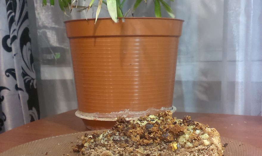 Фотография блюда пользователя