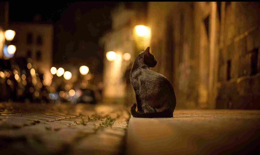 Картофельный суп по старо-чешски в хлебе