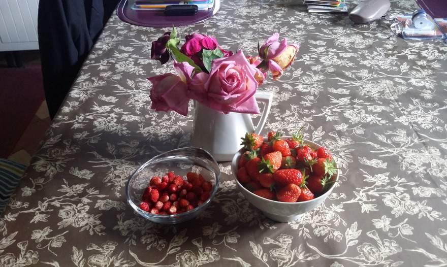 Кекс "Зебра"