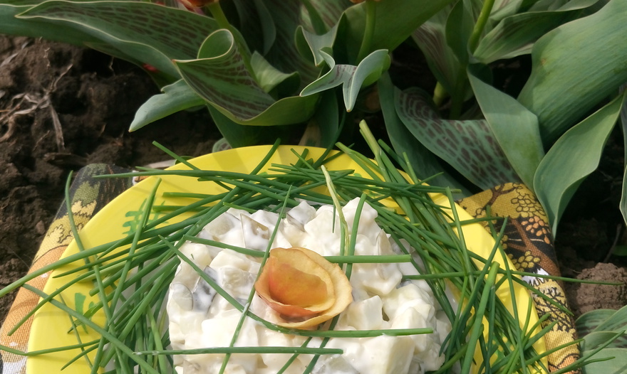 Фотография блюда пользователя