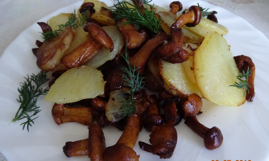 Фотография блюда пользователя