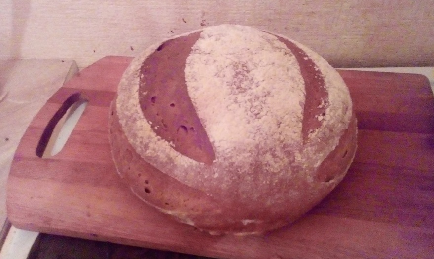 Фотография блюда пользователя