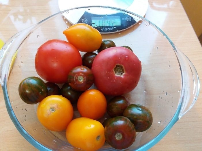 Фотография блюда пользователя