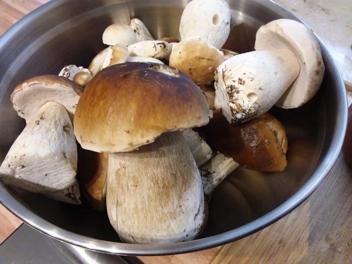 Фотография блюда пользователя