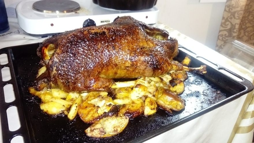 Фотография блюда пользователя