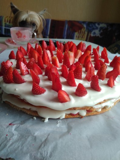 Фотография блюда пользователя