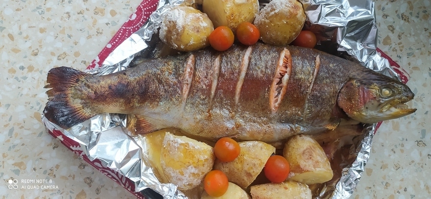 Фотография блюда пользователя