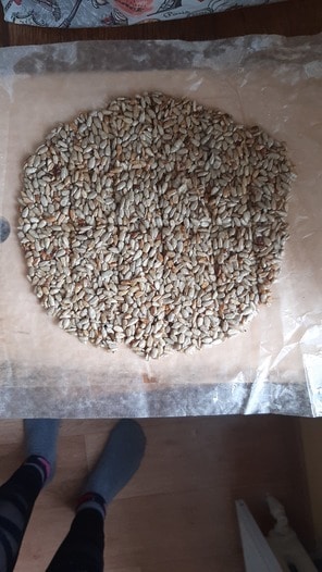 Домашние козинаки