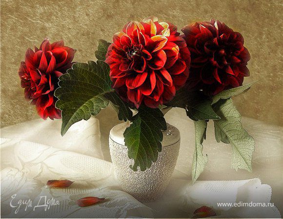  о глюках сайта и глюках браузеров