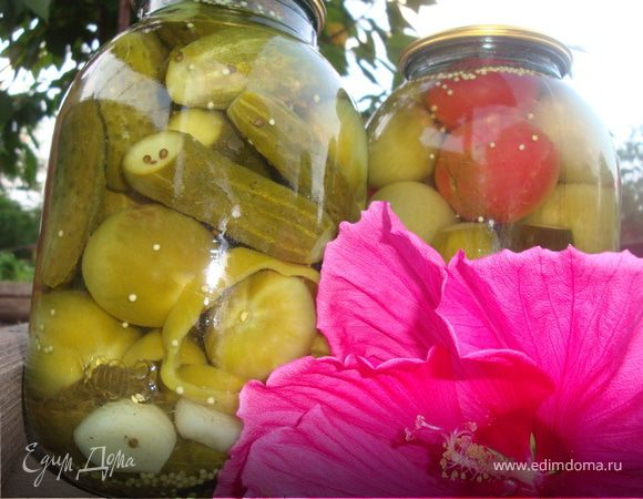 Консервирование овощей-увлекательное путешествие)))