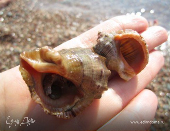 Возвращаюсь после отпуска в круг друзей "Едим Дома"