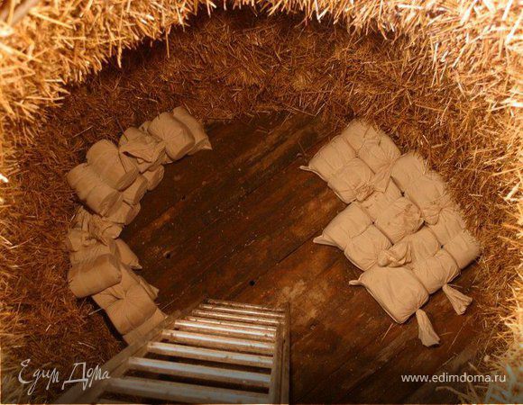 Подземный сыр