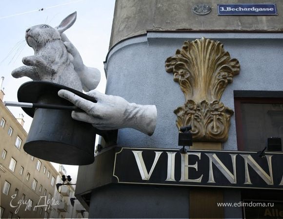 Путешествие в новогоднюю Вену...(часть третья)