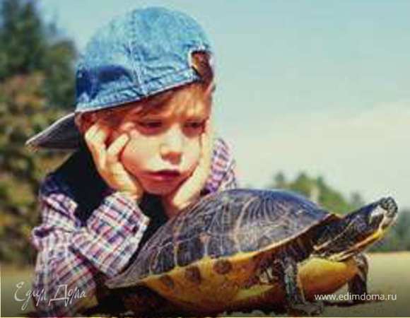 Домашний нелюбимец. Рассказывает совесть.