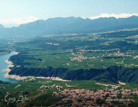 Яблоки в истории