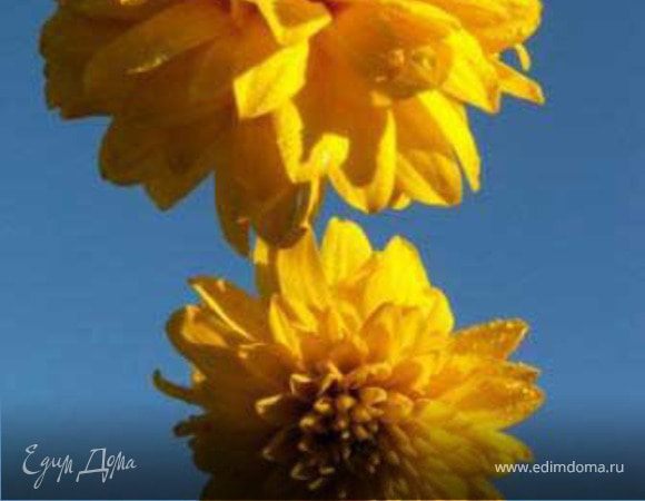 С праздником весны!