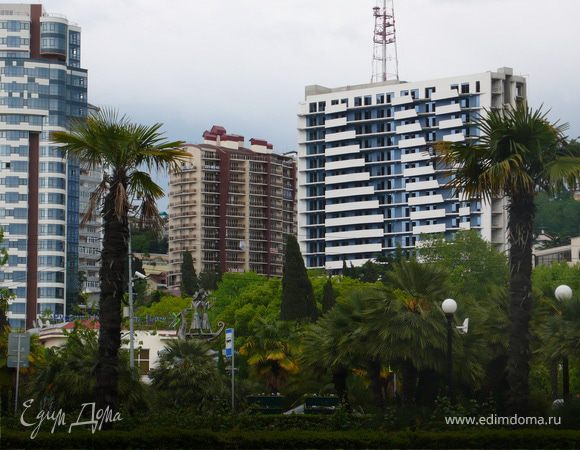 Сочи моими глазами