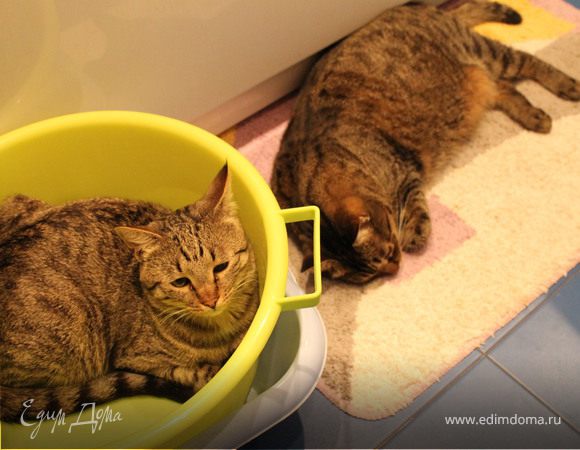 Мои парни, в полосатых пижамках.)))