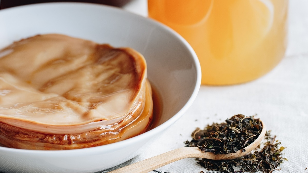 Как приготовить напиток из чайного гриба Как приготовить напиток из чайного гриба