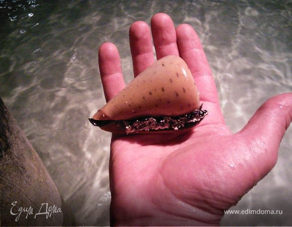 О проделанной работе с благодарностью / часть четвёртая - самая важная /