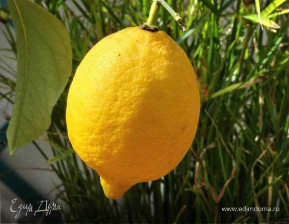 Кладезь витаминов