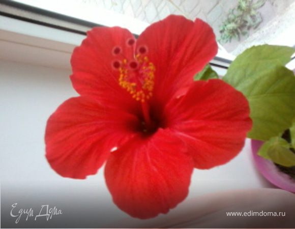 С благодарностью...