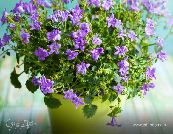 Рецепты месяца по итогам февраля 2015!