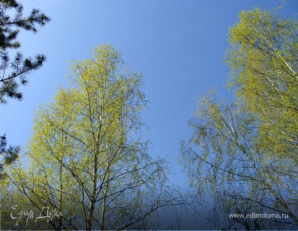 ПРОБУЖДЕНИЕ...