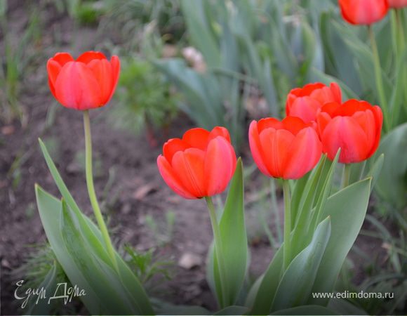 Моя благодарность