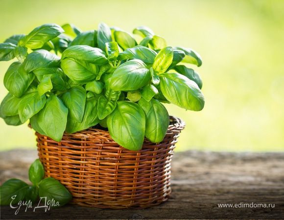 Огород круглый год: овощи и зелень на подоконнике