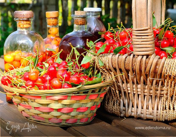 Хмельные радости: семь рецептов домашних настоек из фруктов и ягод