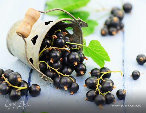 Кулинарный фестиваль «Смородина» в Смоленске!