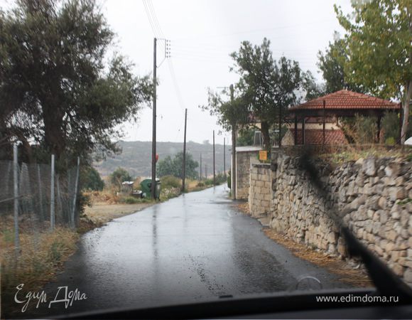 КИПР. Деревня Пахна. Ферма Андреаса. Сыр Халуми...