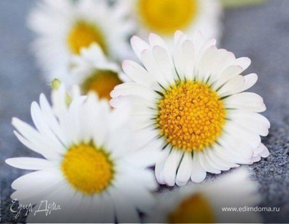 Елена (ЕленаК), с Днём Рождения!