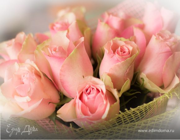 Хочу сказать спасибо!