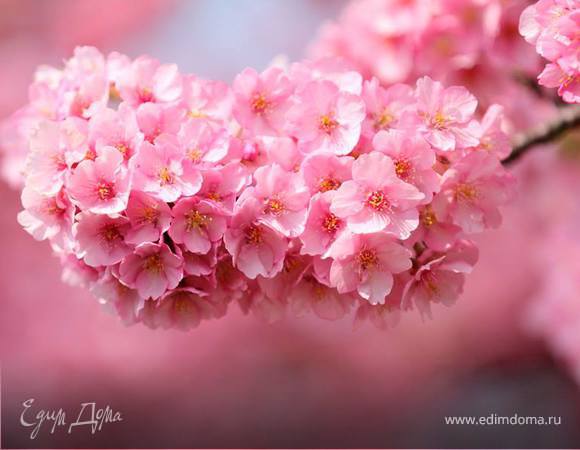 С Весной вас всех, друзья!!